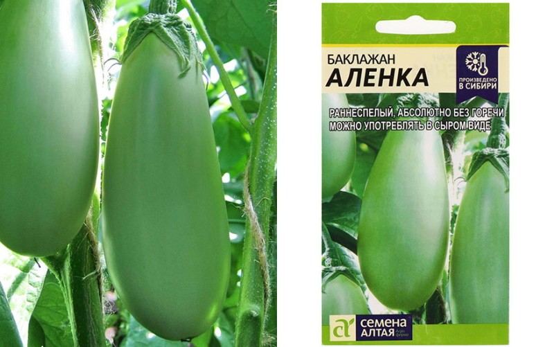 variedad de berenjena Alenka