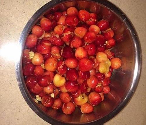 faire bouillir les cerises avec du sucre