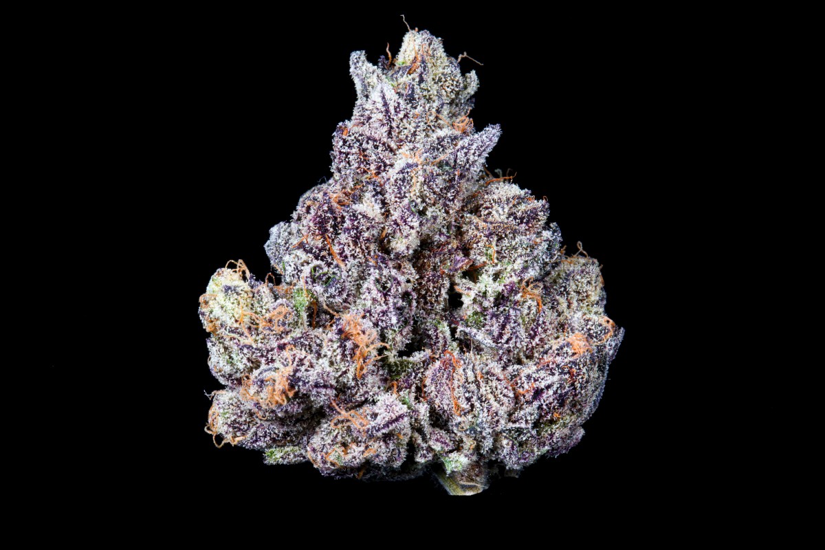 Foto von Chewberto420