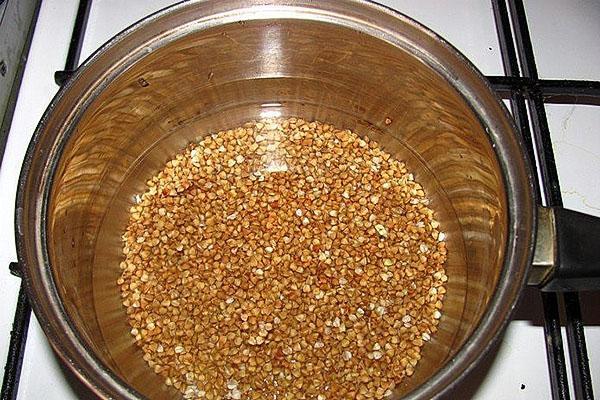 verter trigo sarraceno con agua