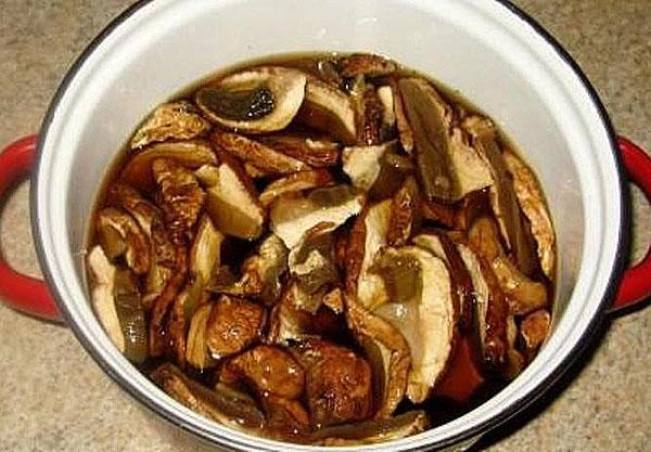 faire bouillir des champignons