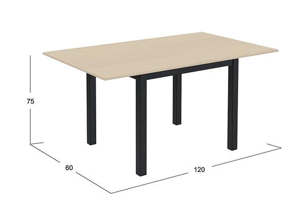 modèle de table en bois