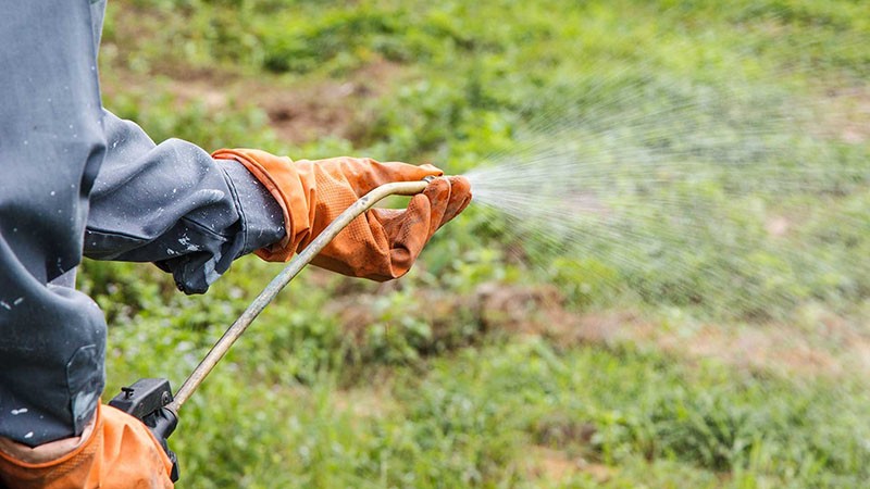 processus de traitement des mauvaises herbes