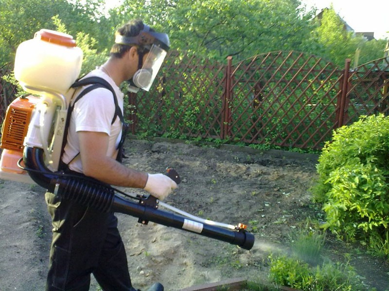traitement du site avec des produits chimiques