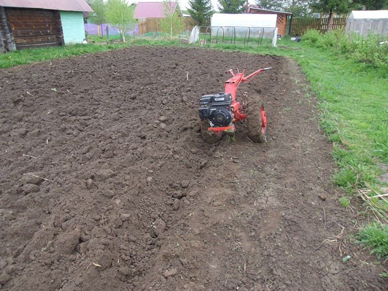 arando un huerto