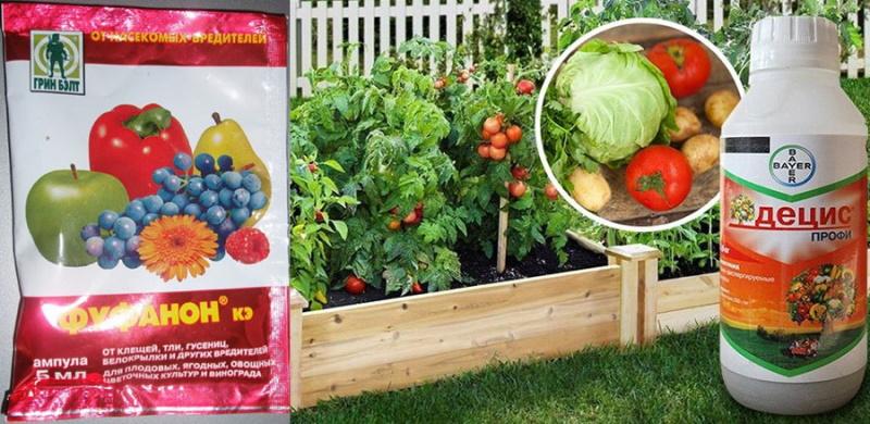 comment traiter une cuillère dans le jardin avec des produits chimiques