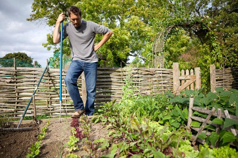 jardinería