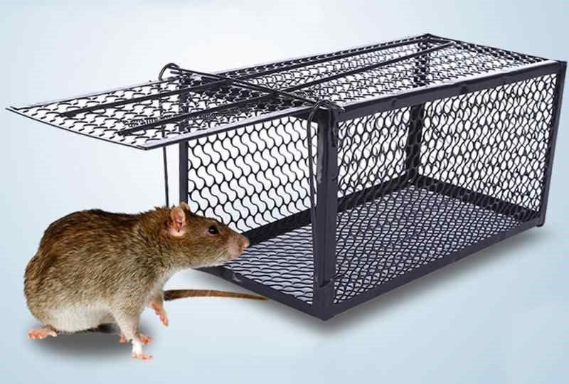 utiliser des pièges