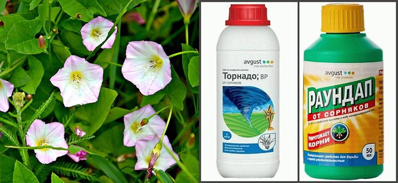 utiliser des herbicides pour éliminer les mauvaises herbes
