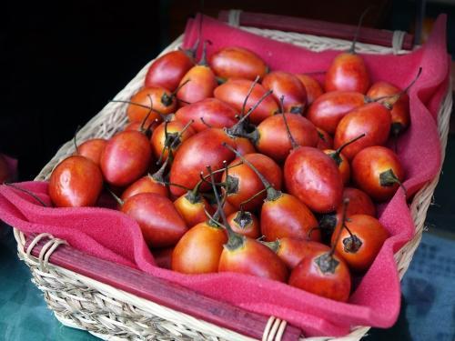 comment va le tamarillo