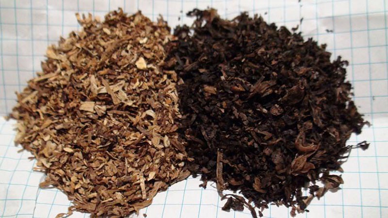 tabac fermenté multicuiseur