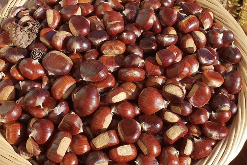 ordenar las nueces
