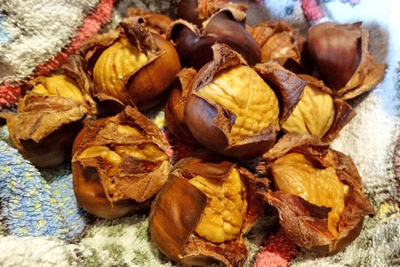poner castañas sobre una toalla