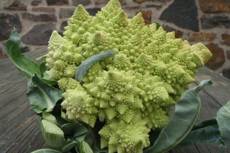 comment cuisiner romanesco