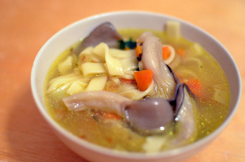 cómo cocinar hongos ostra en sopa