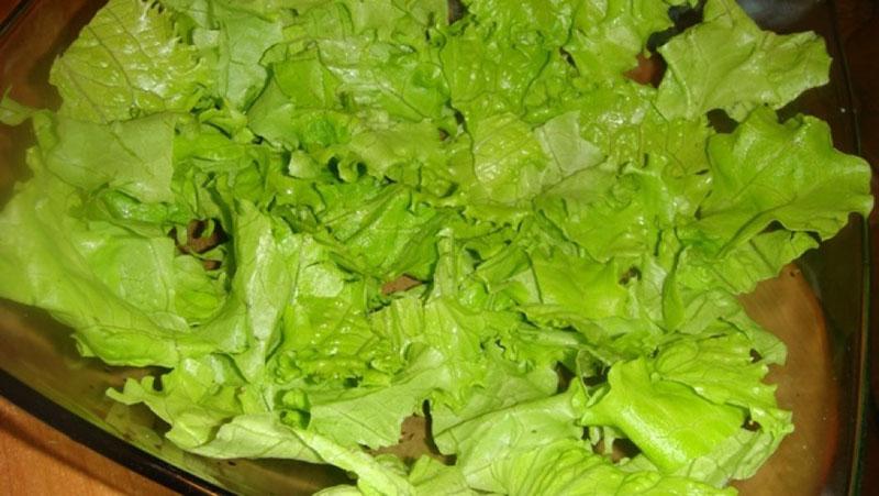 arrancar hojas de lechuga
