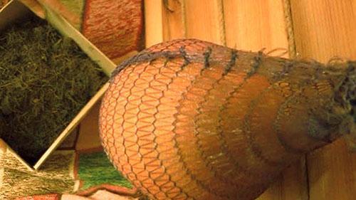 Melon suspendu