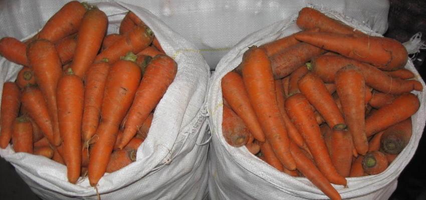 zanahorias en bolsas
