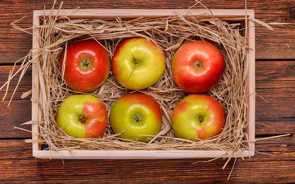 stockage de pommes