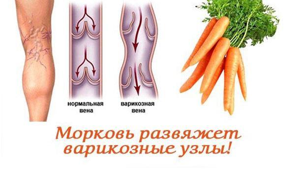 carotte pour le traitement des veines