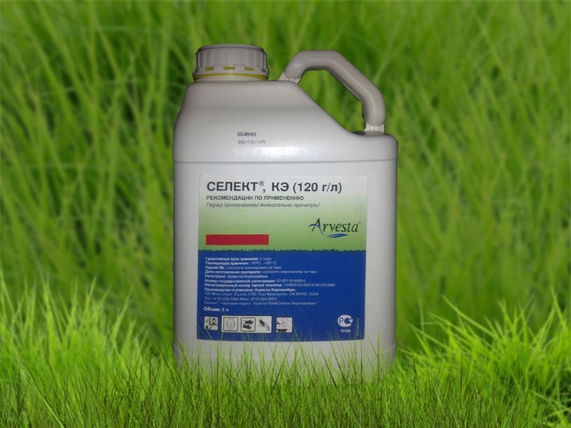sélection d'herbicide