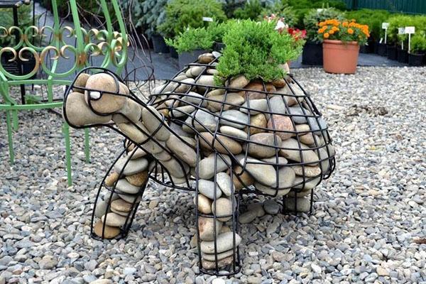 tortue de gabion