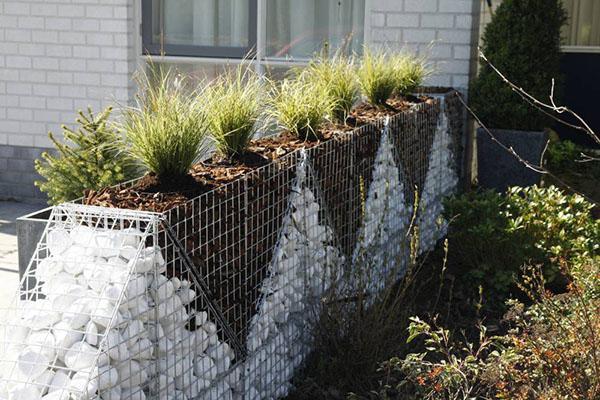 division du site en zones avec un gabion de plate-bande haute