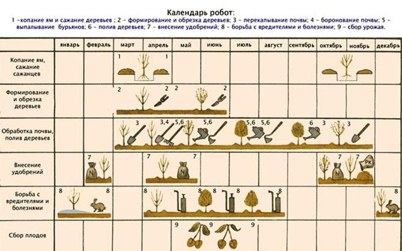 calendrier de travail