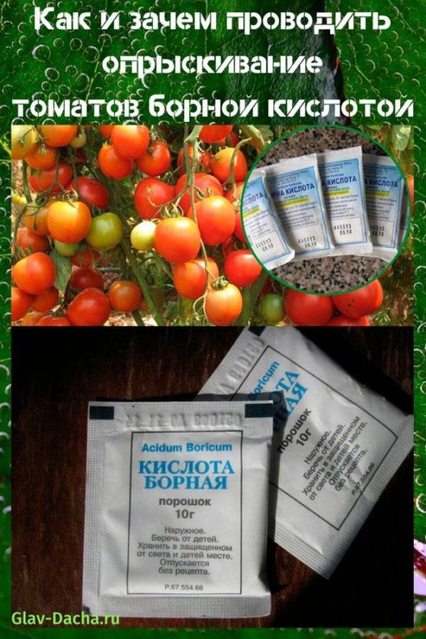 rociar tomates con ácido bórico