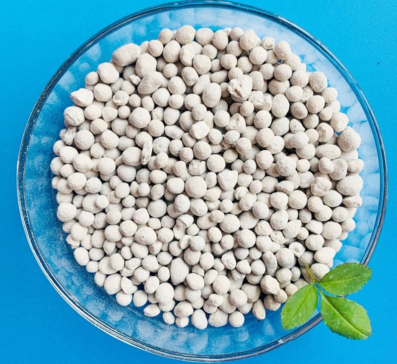 granulés de superphosphate double