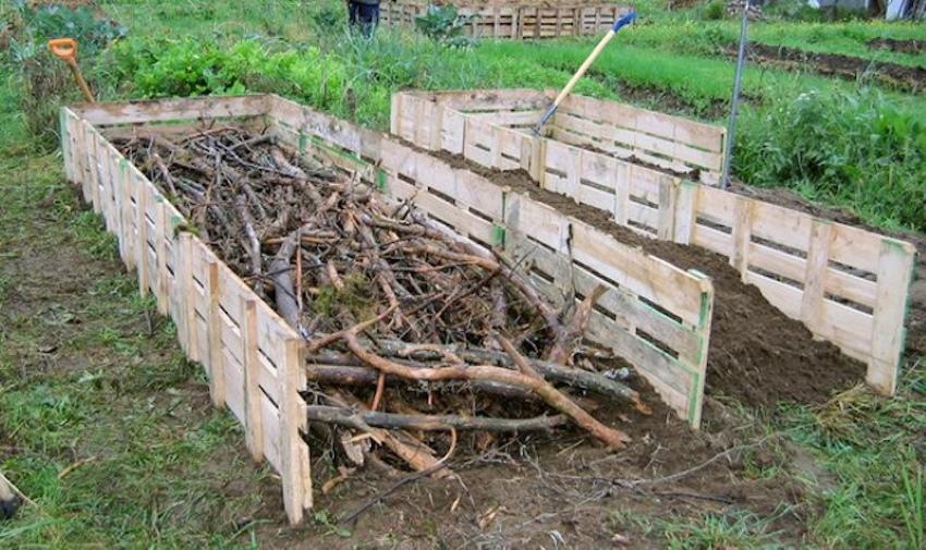 branches pour un jardin chaleureux