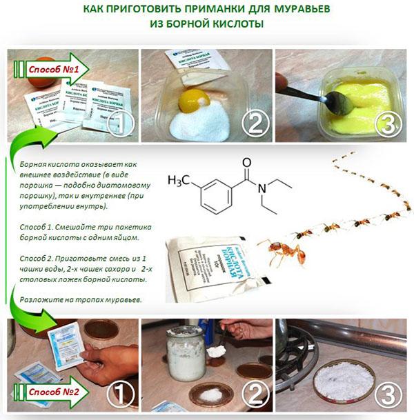 etapas de la preparación del cebo