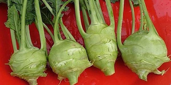 fruit de chou-rave vert