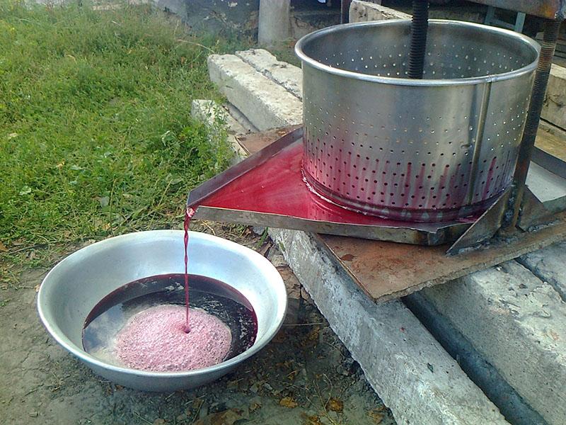 presse à jus en fonctionnement