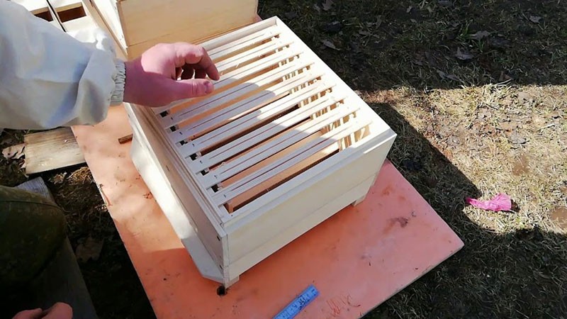 estructura