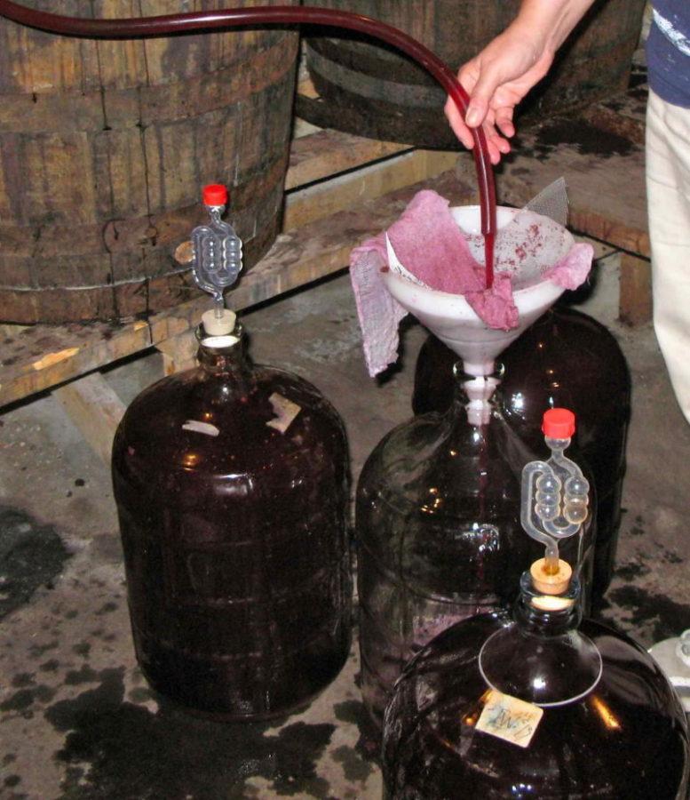 fermentation du vin