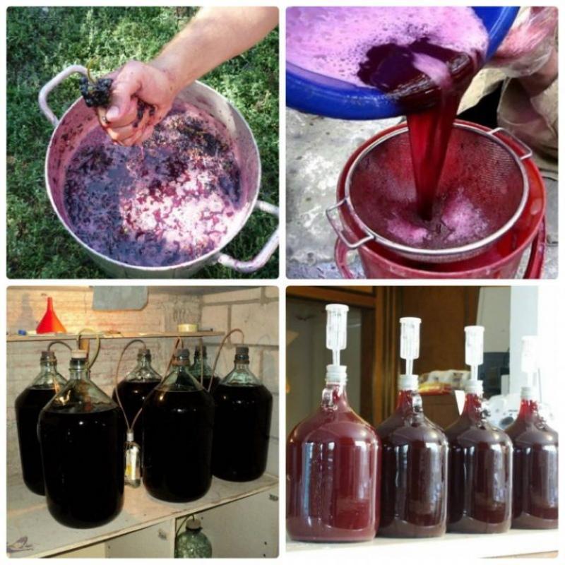 comment faire du vin de raisin