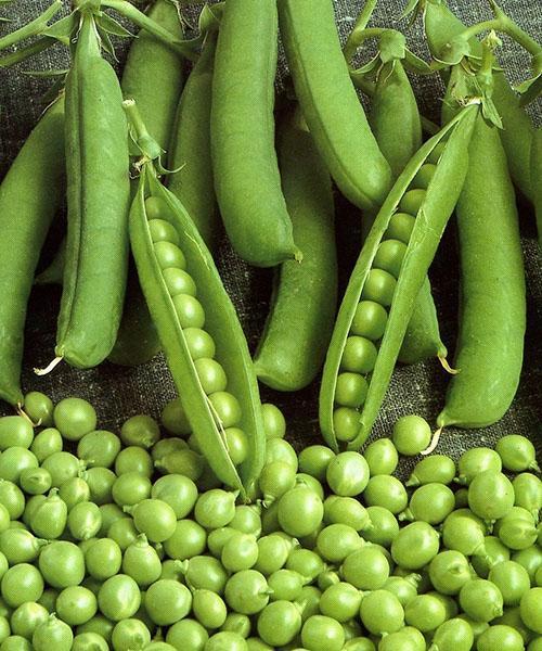 pelar guisantes