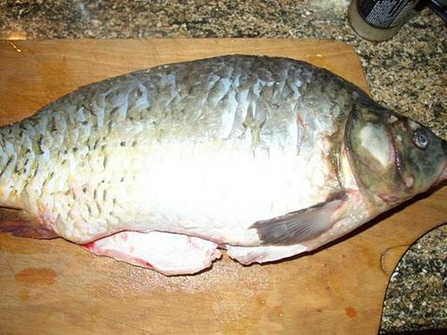 limpiar el pescado