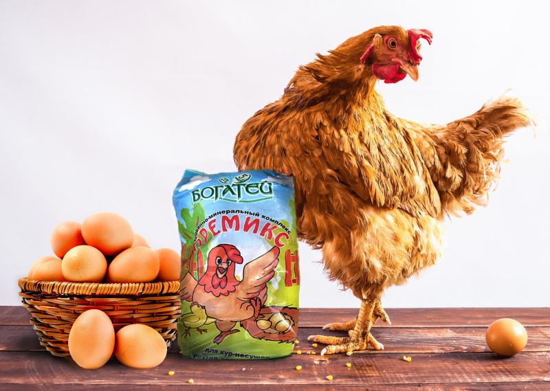 vitaminas para ponedoras