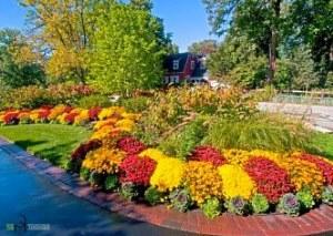 décoration de parterre de fleurs