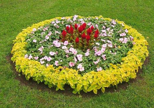 cama de flores redonda