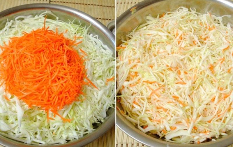 dans un bol, mélanger le chou avec les carottes et le sel