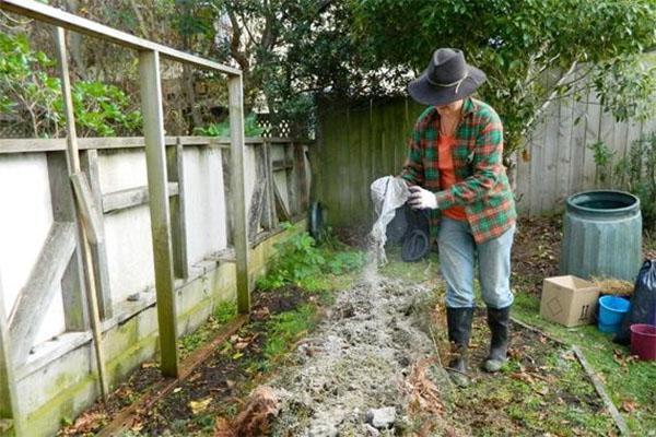 trabajando con ceniza en el jardín.