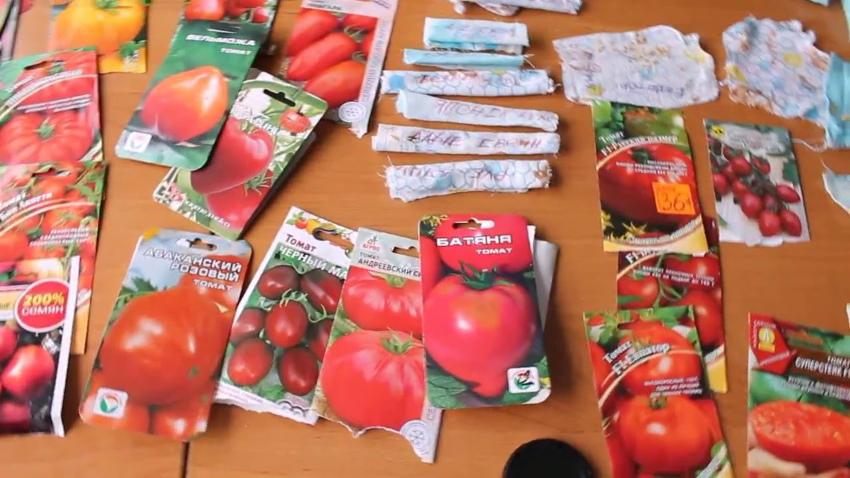semillas de tomate