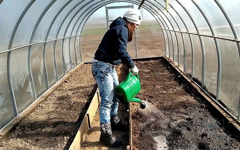 derramar camas en un invernadero