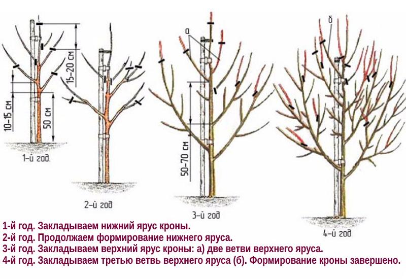 création couronne de poire