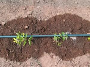 Sistema de riego por goteo para jardín