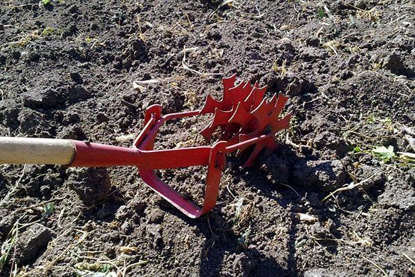 préparer le terrain pour l'hiver