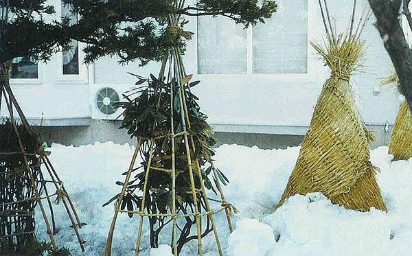 abri de plantes pour l'hiver